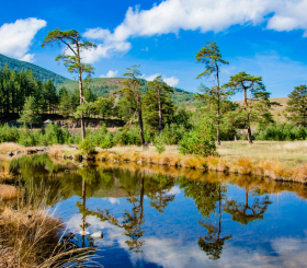 Идея для путешествия: Сербия