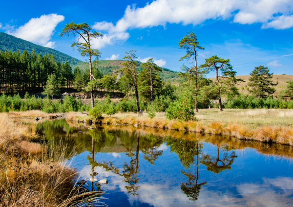  - Радио Romantika