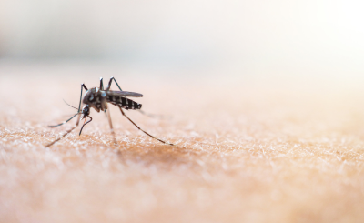 Для путешественников: что нужно знать о малярии?