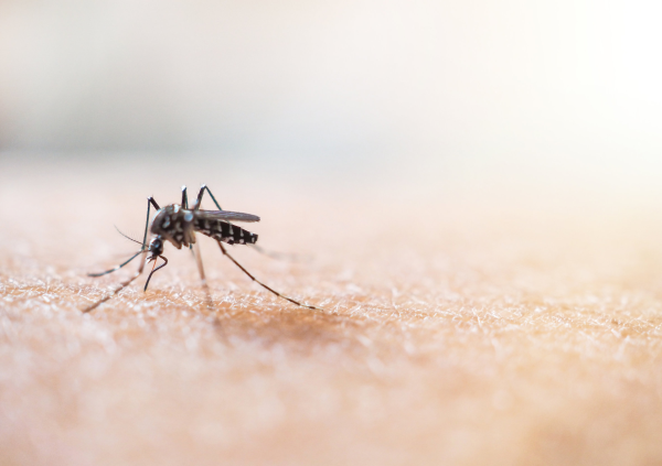 Здоровье - Радио Romantika