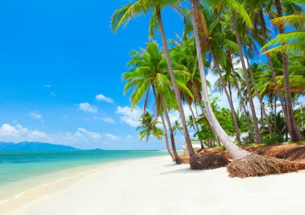 Путешествия - Радио Romantika