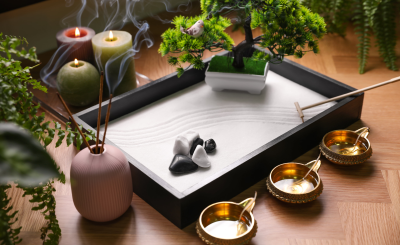 Фэн-шуй дома: куда поставить кактус?