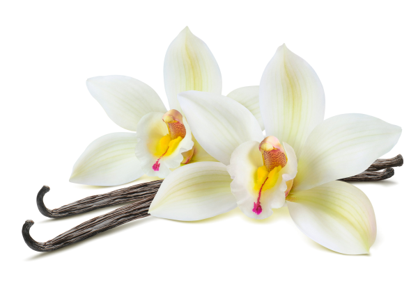 Здоровье - Радио Romantika