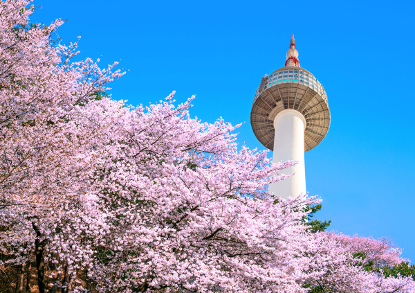  - Радио Romantika