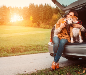 Куда отправиться в путешествие на машине недалеко от Москвы?