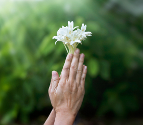 Практики прощения