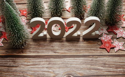 Необычные способы встретить Новый 2022 год (часть 1)