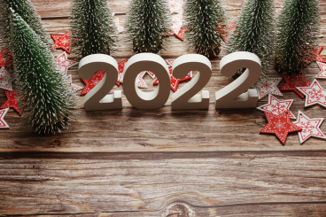 Необычные способы встретить Новый 2022 год (часть 1)