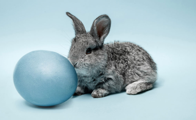 Самые странные суеверия со всего мира