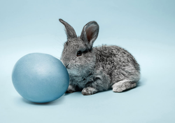 Путешествия - Радио Romantika