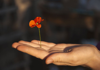 Как правильно говорить комплименты