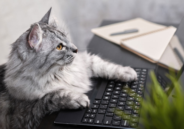 Стиль жизни - Радио Romantika