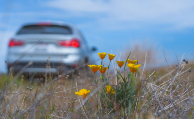 Куда поехать на майские каникулы