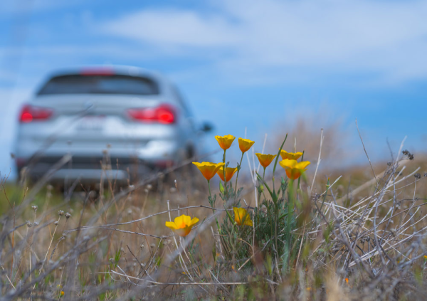 Путешествия - Радио Romantika