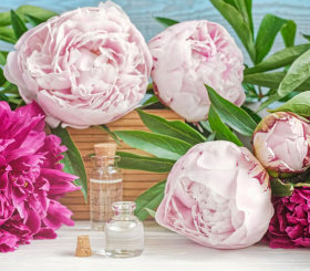 Пионовое настроение на весь год