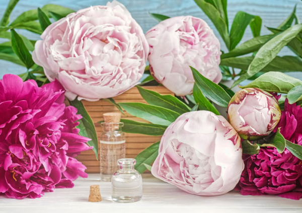 Красота - Радио Romantika