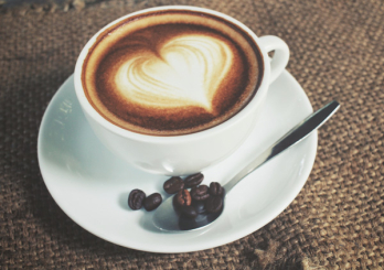 Цикорий и кофе: замена или самостоятельный напиток?