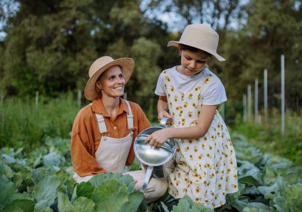  - Радио Romantika
